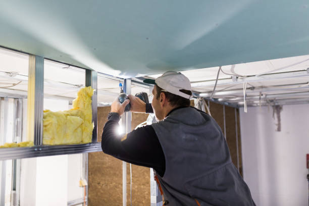 Best Blown-in Insulation in Long Grove, IL