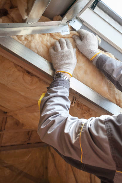 Best Insulation Maintenance and Repair in Long Grove, IL